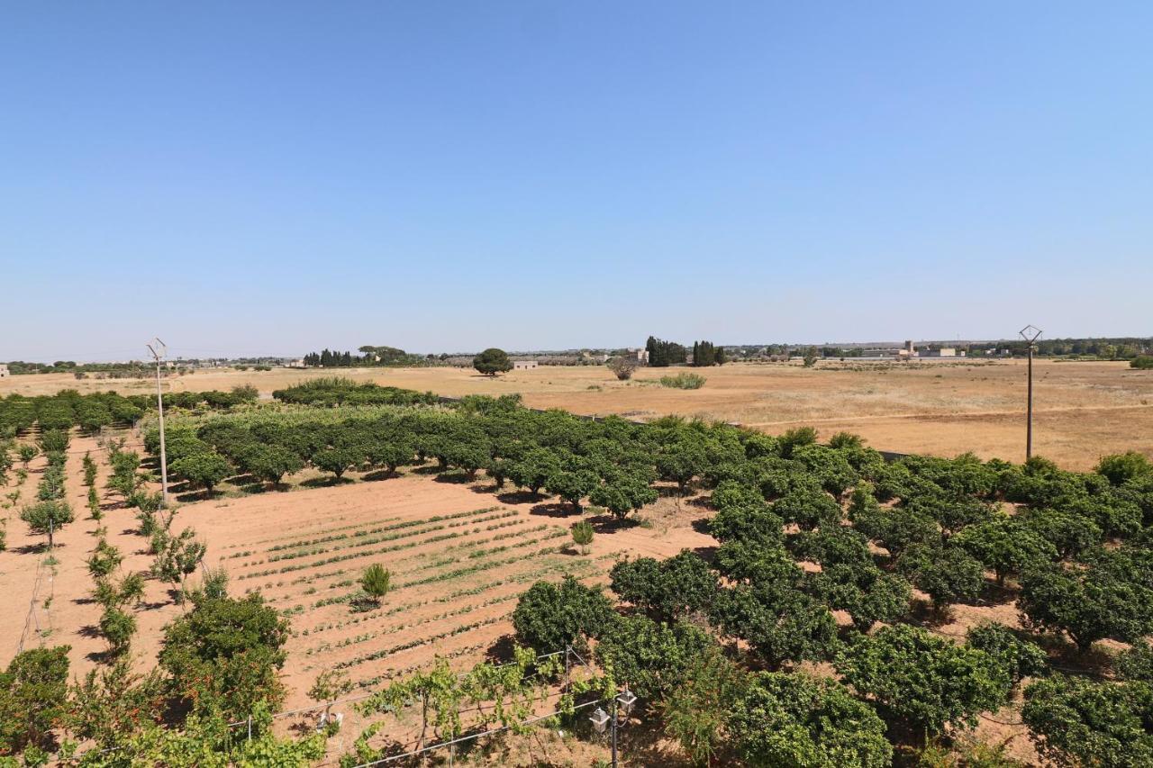 Tenuta Degli Agrumi Carmiano  Exterior foto